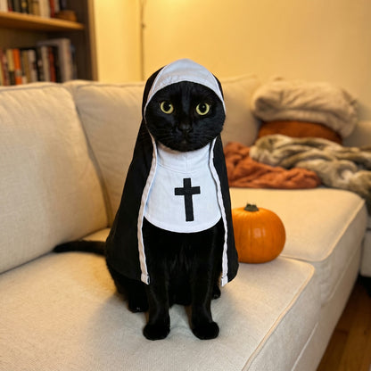 Black cat wearing the Purrgatory nun costume